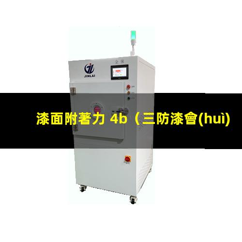 漆面附著力 4b